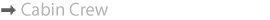 ABCshow Image 5